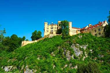 castle Hohenschwangau Almanya