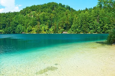 hohenschwangau munich Bavyera yakınındaki gölde alpsee