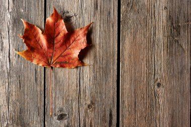 ahşap arka plan üzerinde Sonbaharda akçaağaç yaprağı