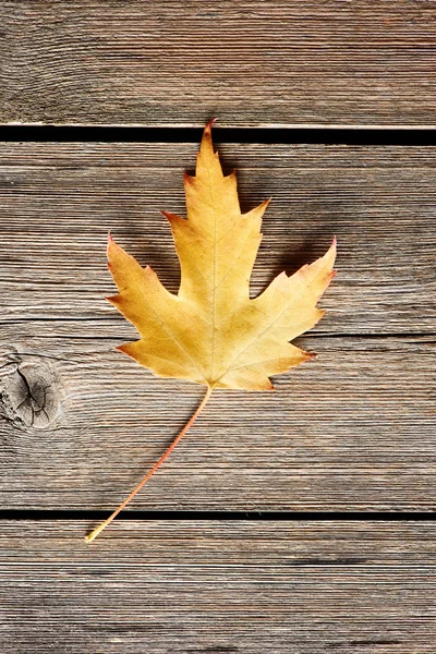 Podzimní javorový list dřevěné pozadí — Stock fotografie