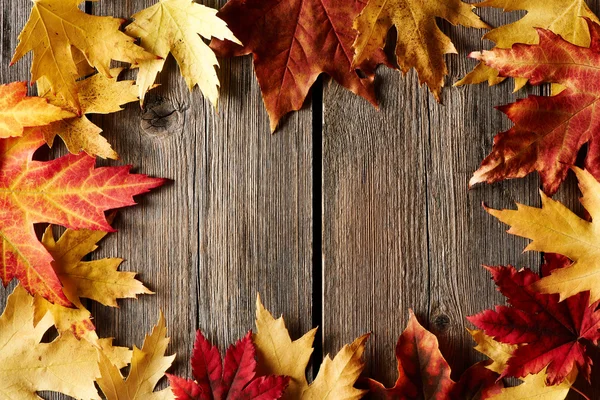 Herfst esdoorn bladeren op houten achtergrond — Stockfoto