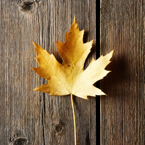 Hoja de arce de otoño sobre fondo de madera — Foto de Stock