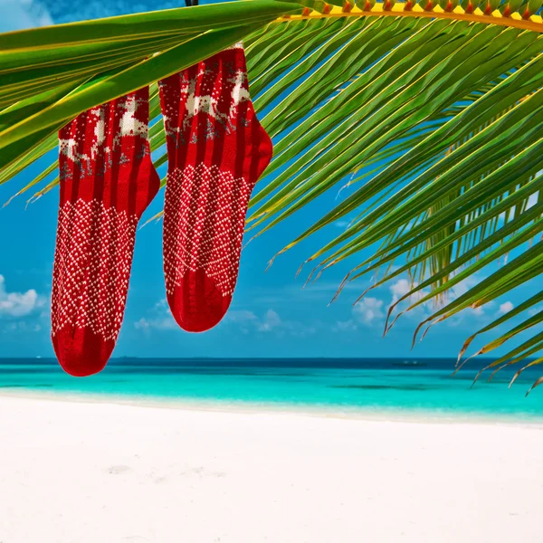 Strand met een palmboom met Kerstmis — Stockfoto