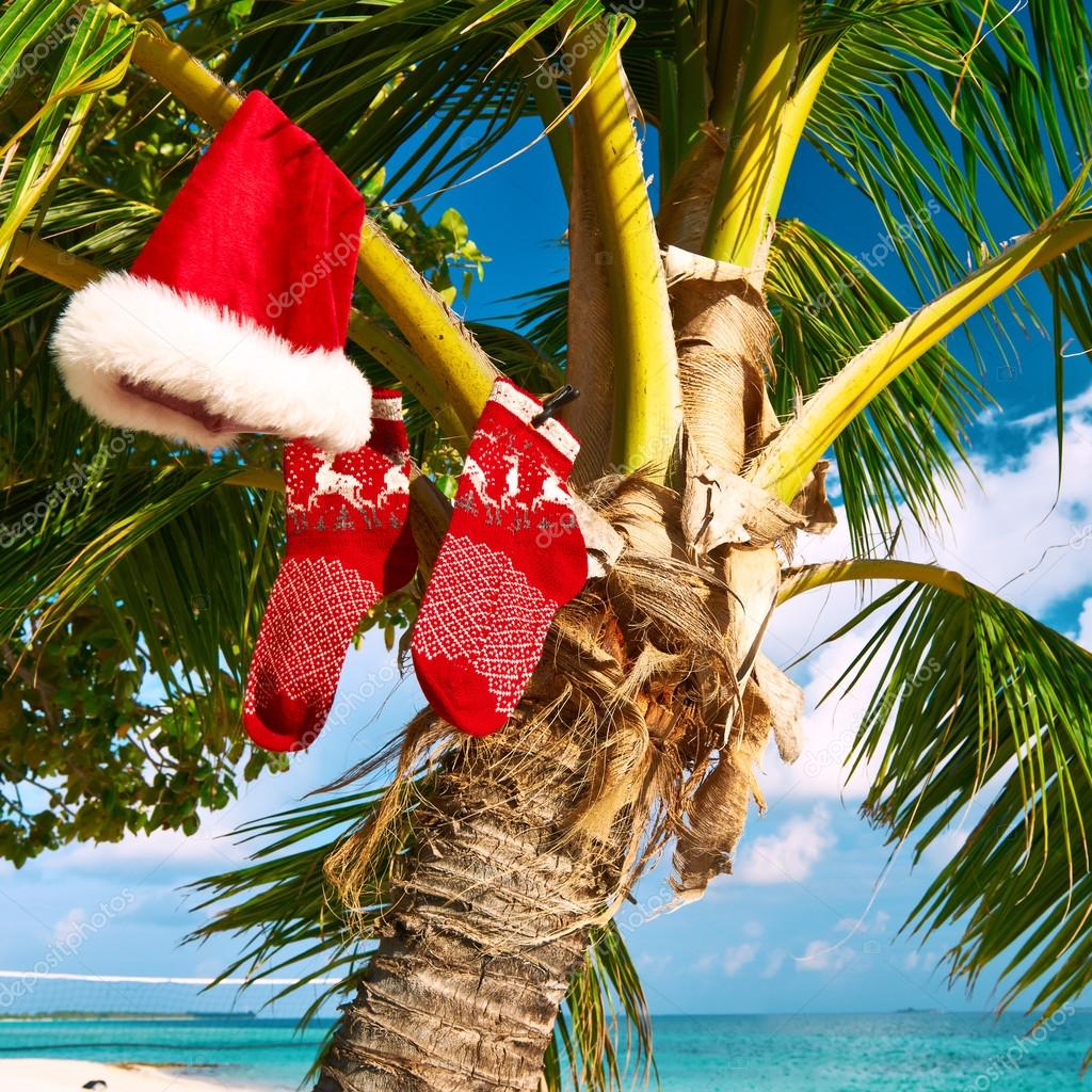 Palm Tree Christmas Beach