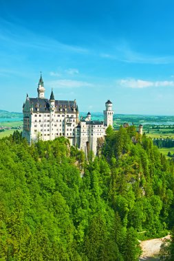 Castle Neuschwanstein Almanya
