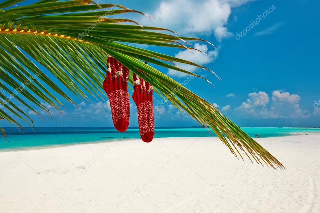 Beach with palm tree at Christmas