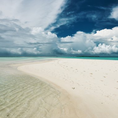 sandspit Maldivler ile güzel bir plaj