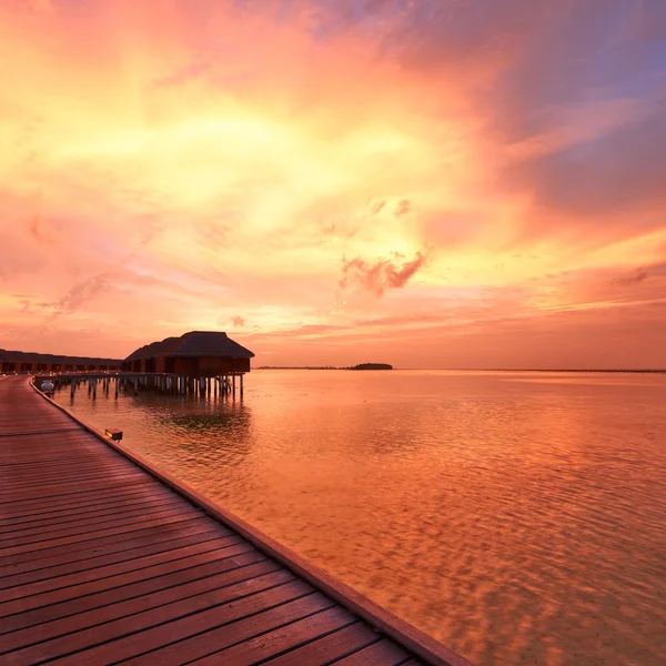 Maldivian sahilinde gün batımı — Stok fotoğraf