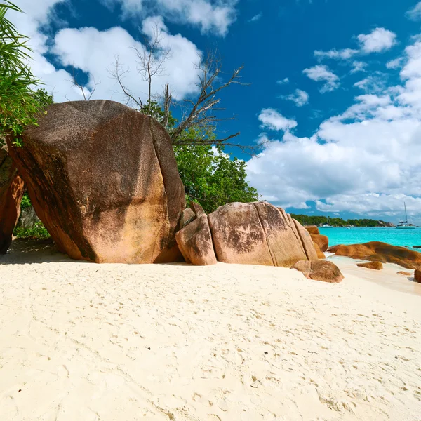Prachtige strand van Seychellen — Stockfoto