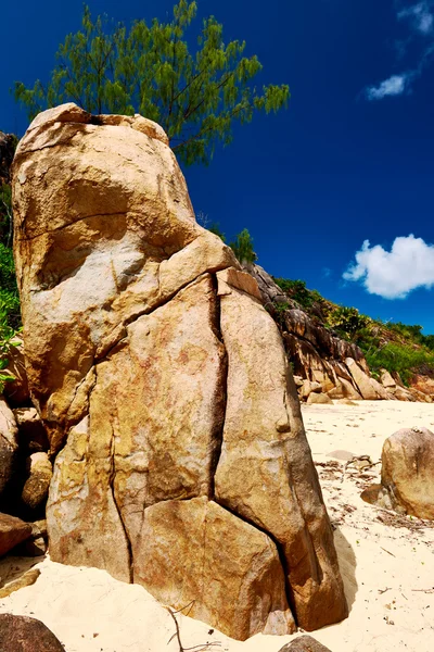 Vacker strand på Seychellerna — Stockfoto