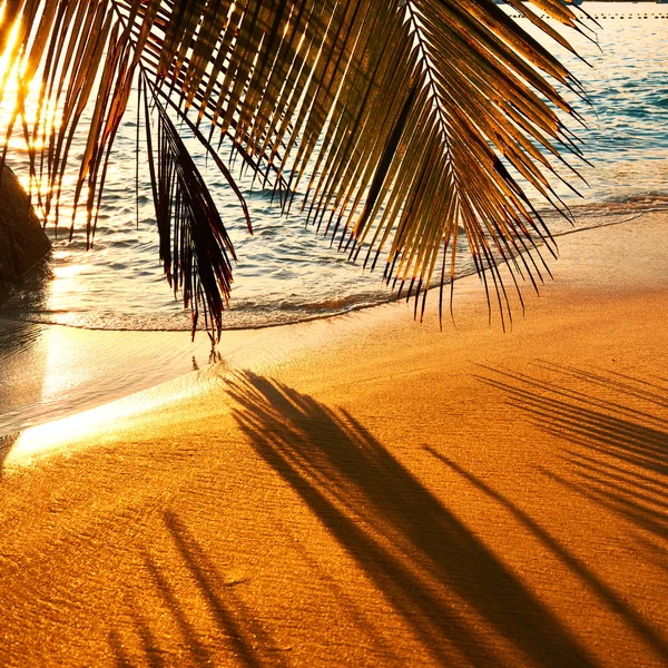 Hermosa puesta de sol en la playa — Foto de Stock