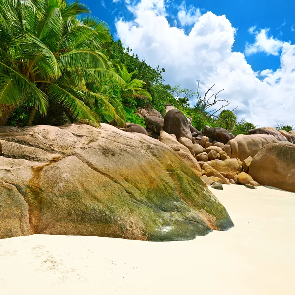 Beautiful beach at Seychelles — Stock Photo, Image