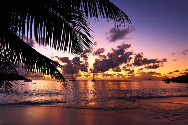 Belo pôr do sol na praia — Fotografia de Stock