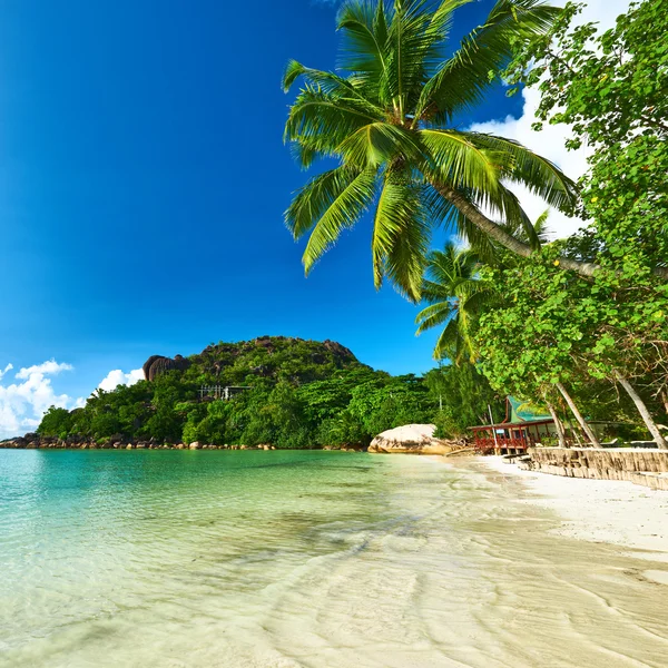 Hermosa playa con palmeras — Foto de Stock