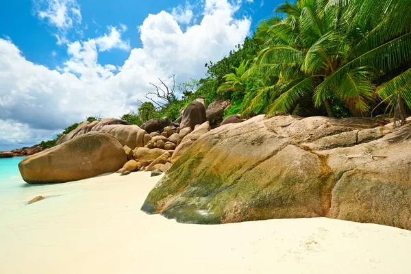 Bella spiaggia alle Seychelles — Foto Stock