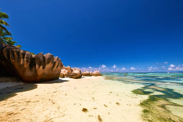 Belle plage aux Seychelles — Photo