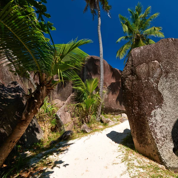 Vacker strand på Seychellerna — Stockfoto