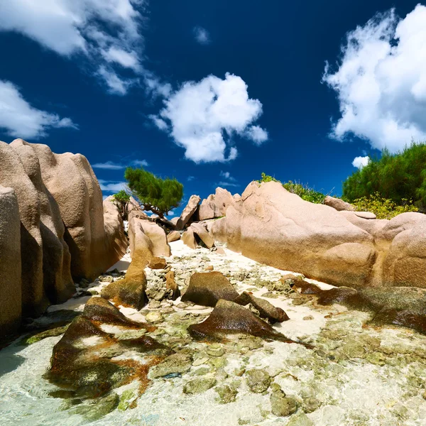 Hermosa playa en Seychelles — Foto de Stock