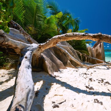 güzel plaj, Seyşel Adaları