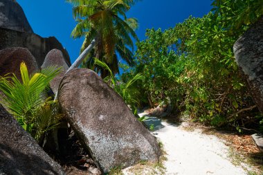 güzel plaj, Seyşel Adaları