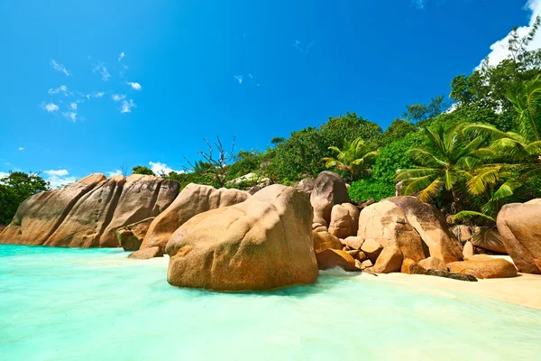 Praia bonita em Seychelles — Fotografia de Stock