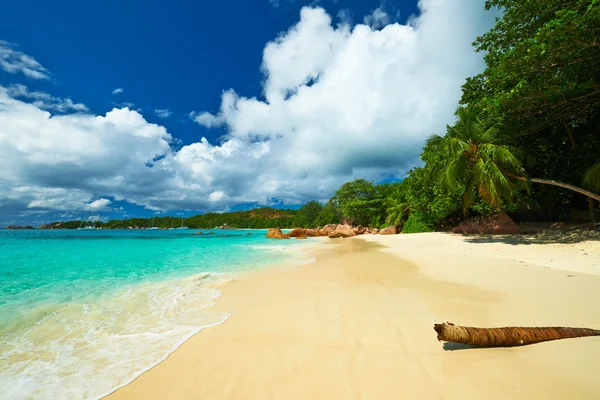 Prachtige strand van Seychellen — Stockfoto