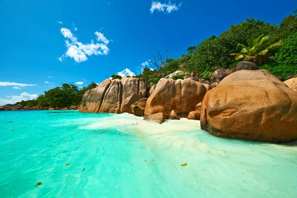 Bella spiaggia alle Seychelles — Foto Stock