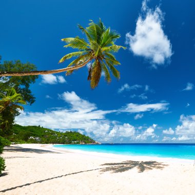 Anse Intendance beach