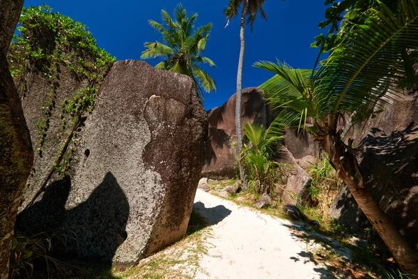 Hermosa playa en Seychelles — Foto de Stock