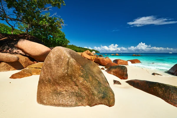 Prachtige strand van Seychellen — Stockfoto