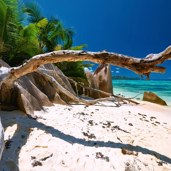 Beautiful beach at Seychelles — Stock Photo, Image