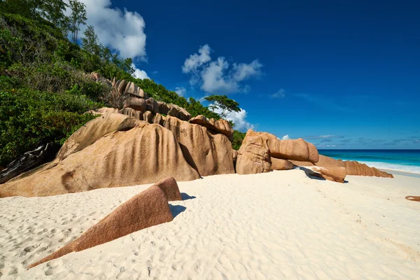 Prachtige strand van Seychellen — Stockfoto