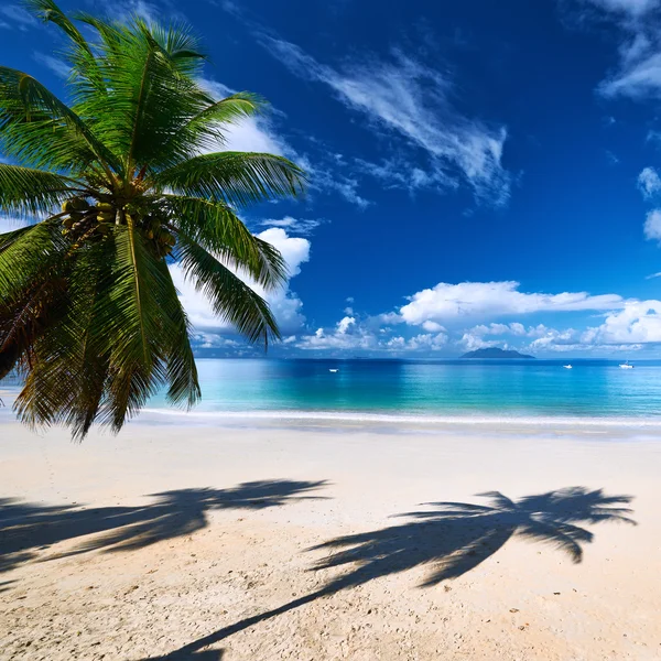 Anse Intendance praia — Fotografia de Stock