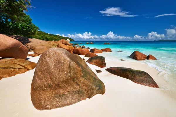 Bella spiaggia alle Seychelles — Foto Stock