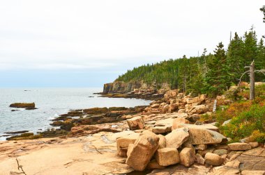 Sea at Acadia National Park clipart
