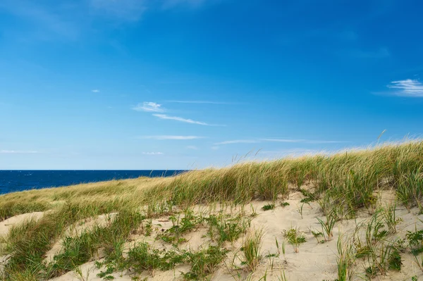 Paisagem com dunas de areia — Fotografia de Stock