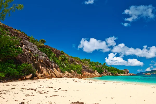 Bella spiaggia alle Seychelles — Foto Stock