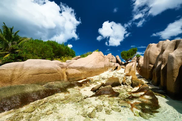 Bella spiaggia alle Seychelles — Foto Stock