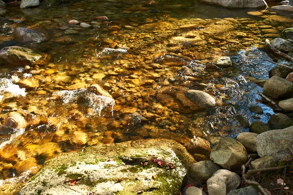 Sabbaday Falls i vita berg skog — Stockfoto