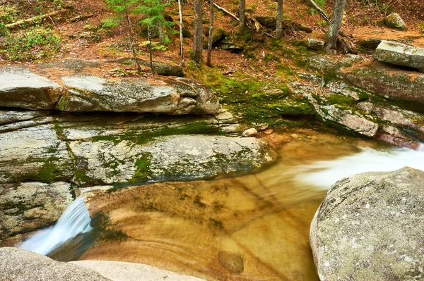 Sabbaday Falls in wit bergbos — Stockfoto