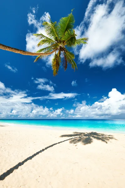 Güzel bir plaj Anse Intendance — Stok fotoğraf