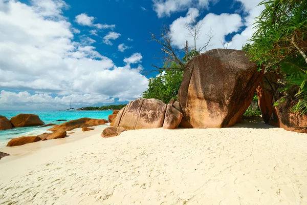 Belle plage aux Seychelles — Photo