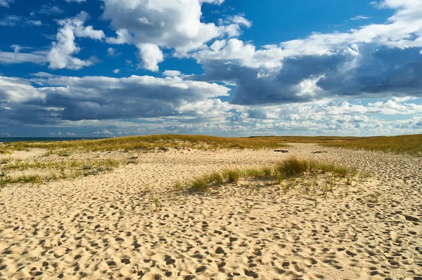 Landscape with sand dunes — Stock Photo, Image