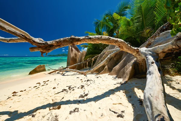 Гарний пляж у Сейшельські острови — стокове фото