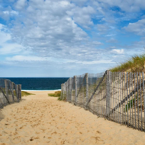 Pathway to the beach at Cape Cod — Stock Photo, Image