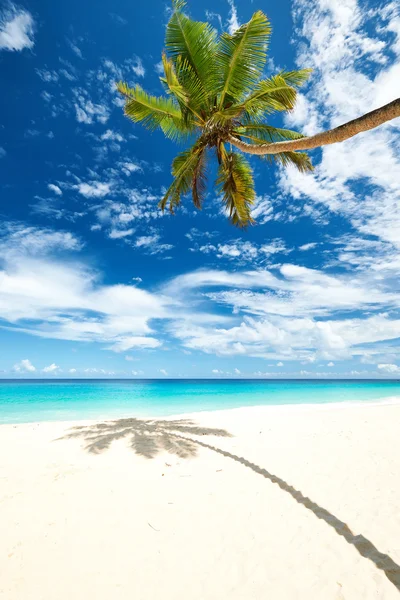 Pięknej plaży Anse Intendance — Zdjęcie stockowe