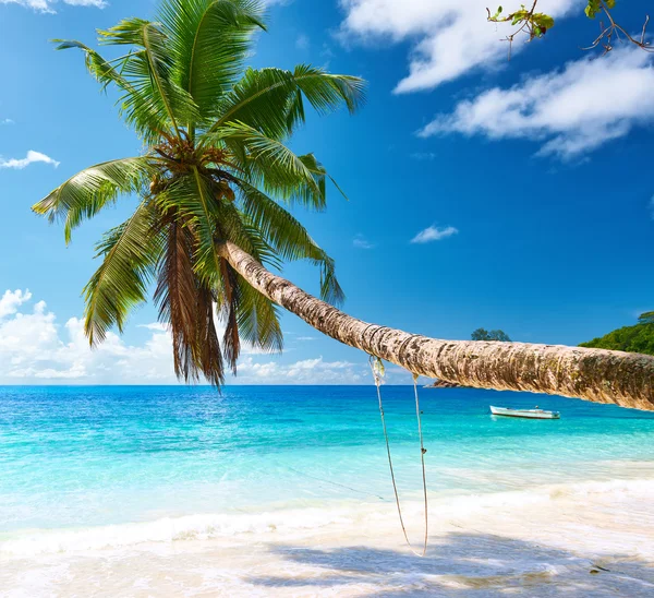 Schöner Strand auf den Seychellen — Stockfoto