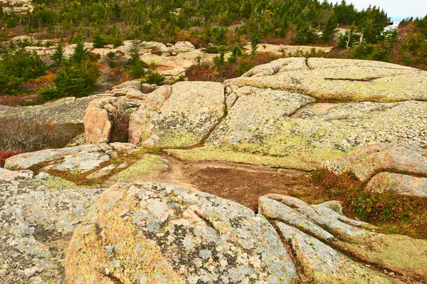 Parque Nacional Acadia — Foto de Stock