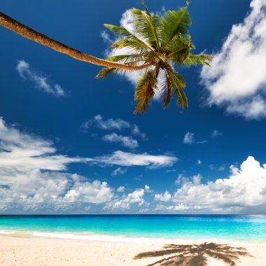 Anse Intendance beach de Seyşeller