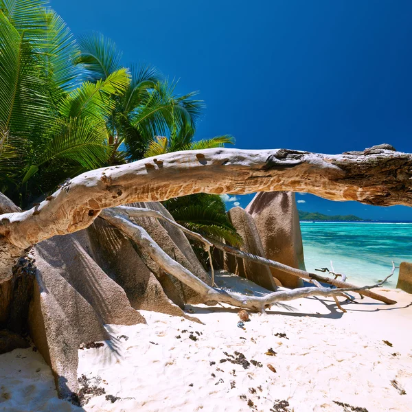 Beautiful beach at Seychelles — Stock Photo, Image